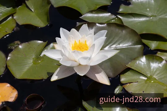 数据表格与数字分析场景